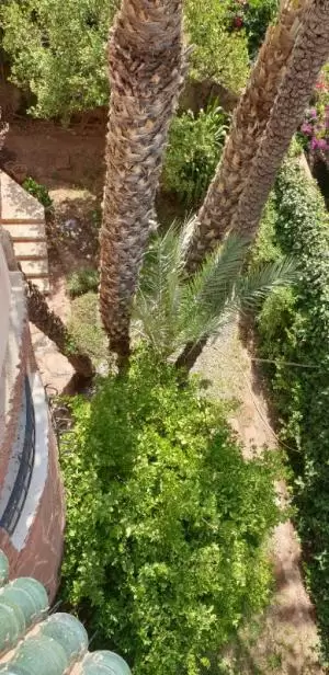 فرصة رائعة لمن يبحث عن فيلا تجمع بين الراحة، الفخامة، والطابع المغربي الأصيل!